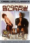 The Best of Andrew Blake (Andrew  Blake)