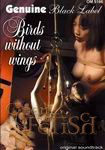 Birds without wings (Genuine)