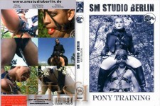 Pony Training 