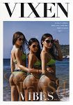 Vibes Vol. 4 (Jules Jordan Video - Vixen)