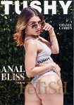 Anal Bliss Vol. 6 (Jules Jordan Video - Tushy)