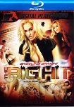 Angelina Armani The Big Hit (Digital Playground - Blu-ray Disc)