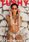 The Art of Anal Sex Vol. 8 (Jules Jordan Video - Tushy)