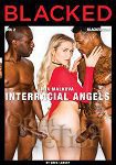 Interracial Angels Vol. 2 (Jules Jordan Video - Blacked)